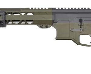 Modern AR-15 style rifle on white background
