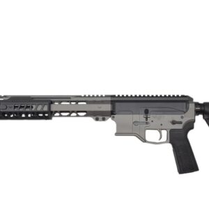 Modern AR-15 style semi-automatic rifle