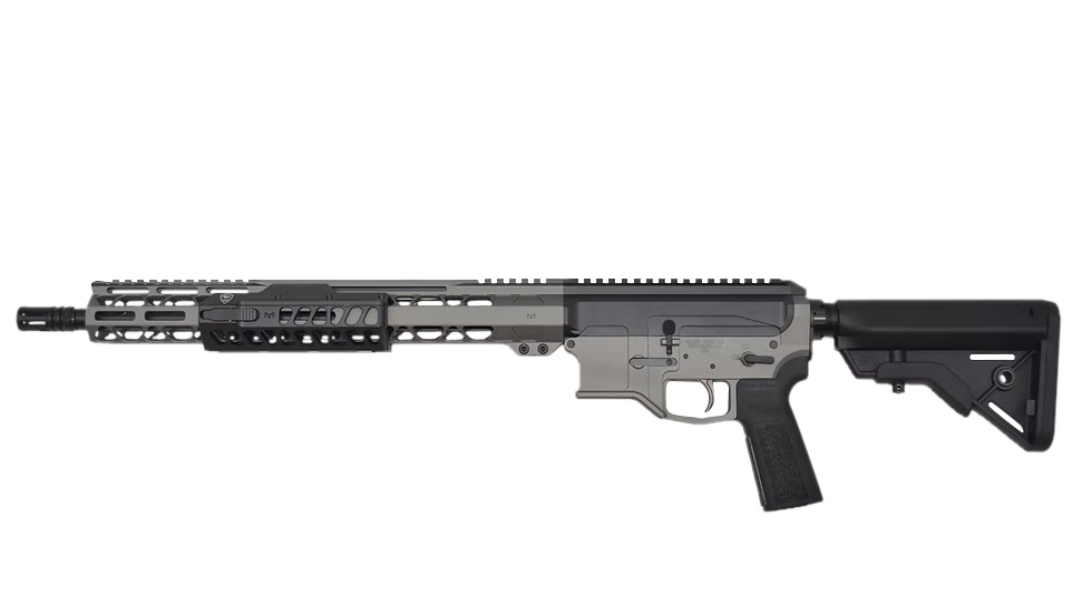 Modern AR-15 style semi-automatic rifle