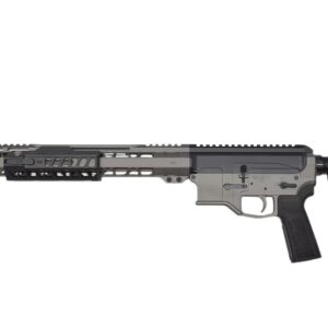 Modern AR-15 style rifle on white background