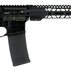 Black AR-15 style semi-automatic rifle