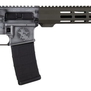 Modern semi-automatic rifle with detachable magazine