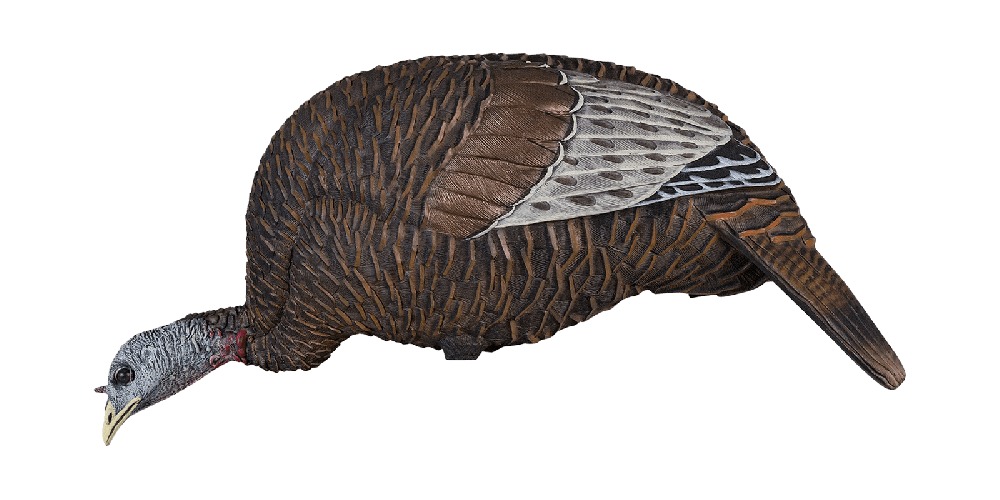 Realistic turkey decoy lying flat