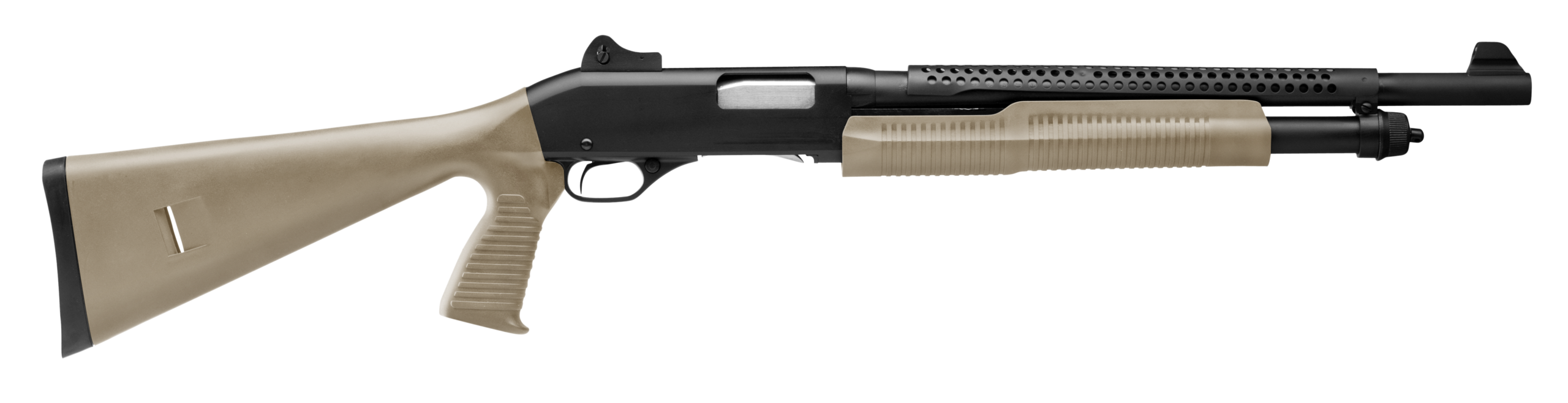 Black and tan shotgun on a white background