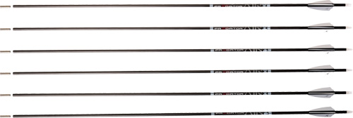 Six archery arrows aligned horizontally on white background