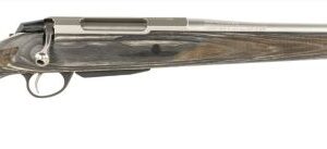 Side view of a modern rifle