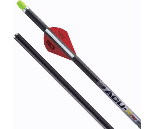 Two carbon arrows with red fletching