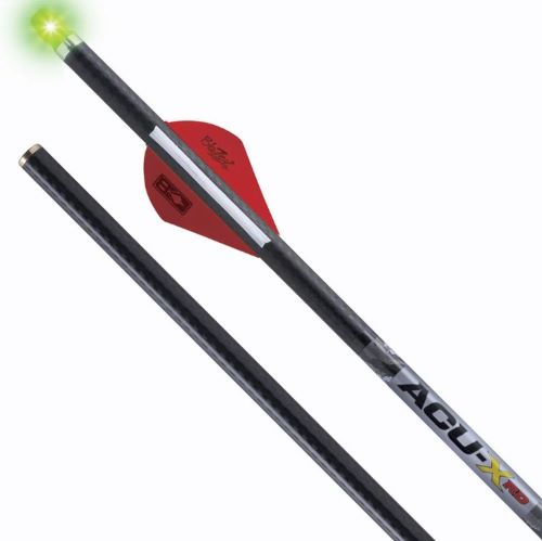 Carbon arrows with illuminated nock and red fletching