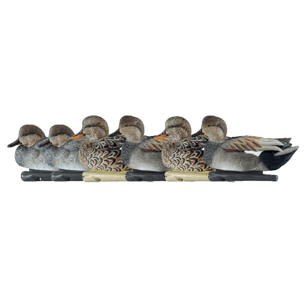 Six realistic duck decoys lined up