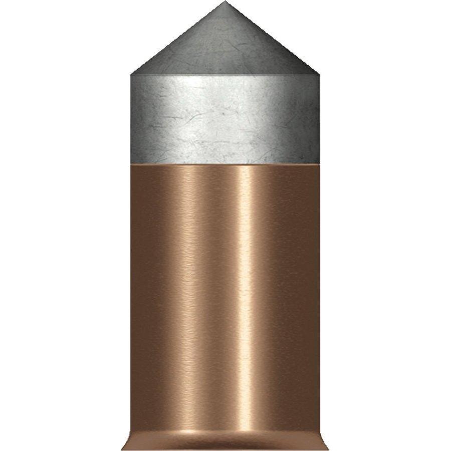 Copper and silver bullet cartridge close-up