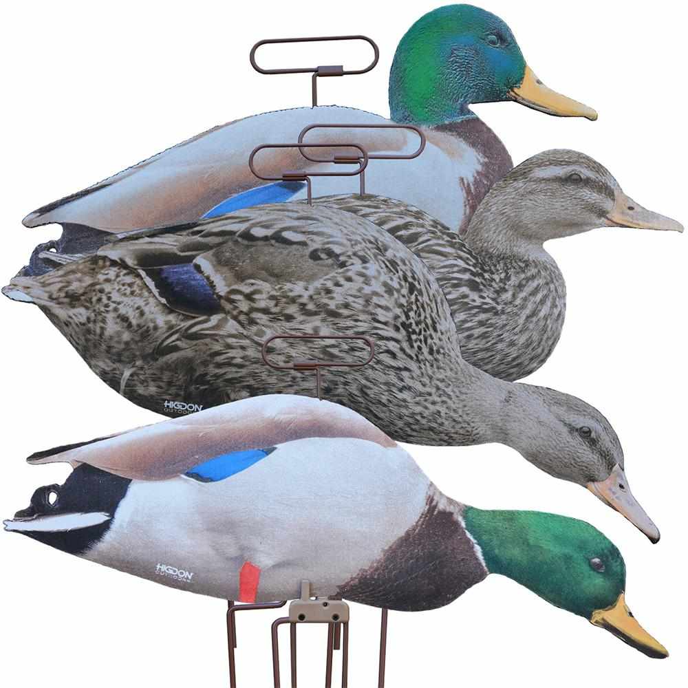 Three mallard duck decoys mounted on stands
