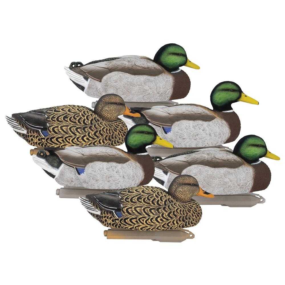Six mallard duck decoys arranged in a group