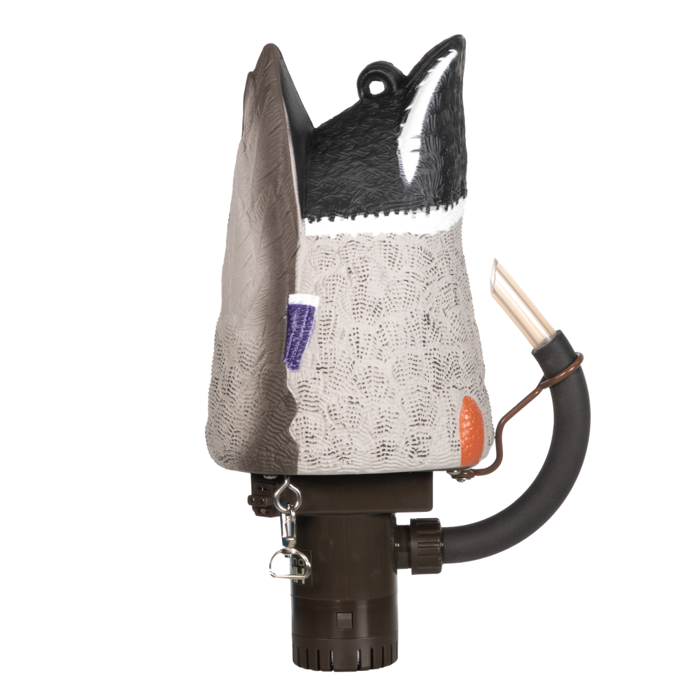 Decorative bird-shaped outdoor water spigot cover