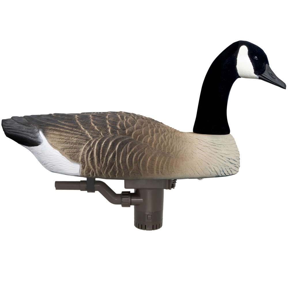 Canada goose decoy with motorized base