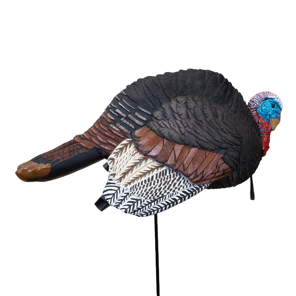 Realistic wild turkey decoy mounted on stake