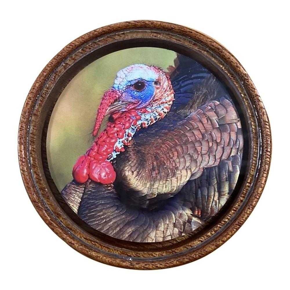 Wild turkey portrait in round wooden frame