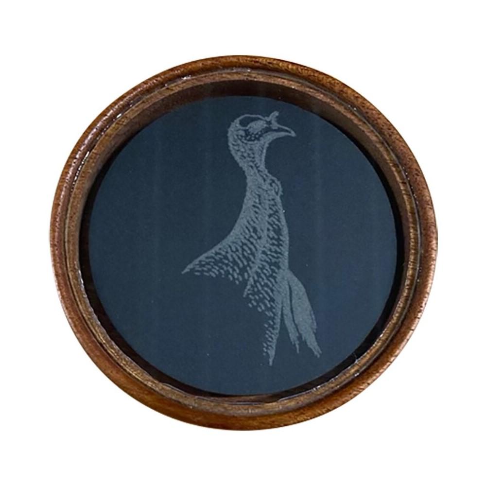 Framed bird illustration on dark background