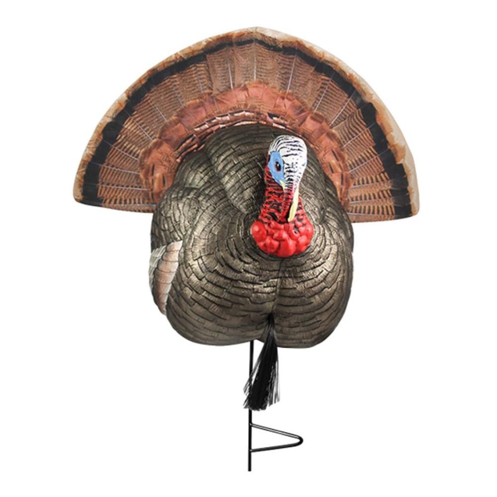 Realistic turkey decoy with fanned tail on stake