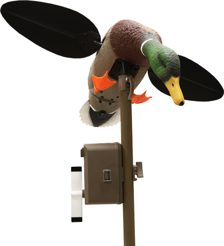Mallard duck decoy with spinning wings mounted on pole