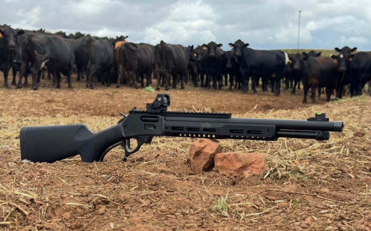 Rifle on ground with cattle in background