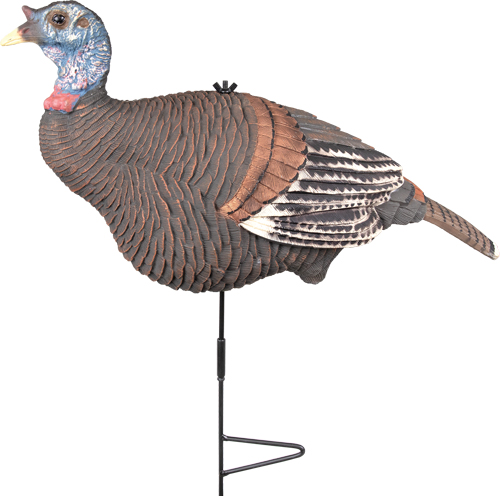 Realistic turkey decoy mounted on stake stand