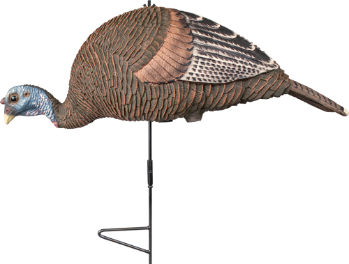 Realistic turkey decoy mounted on metal stake