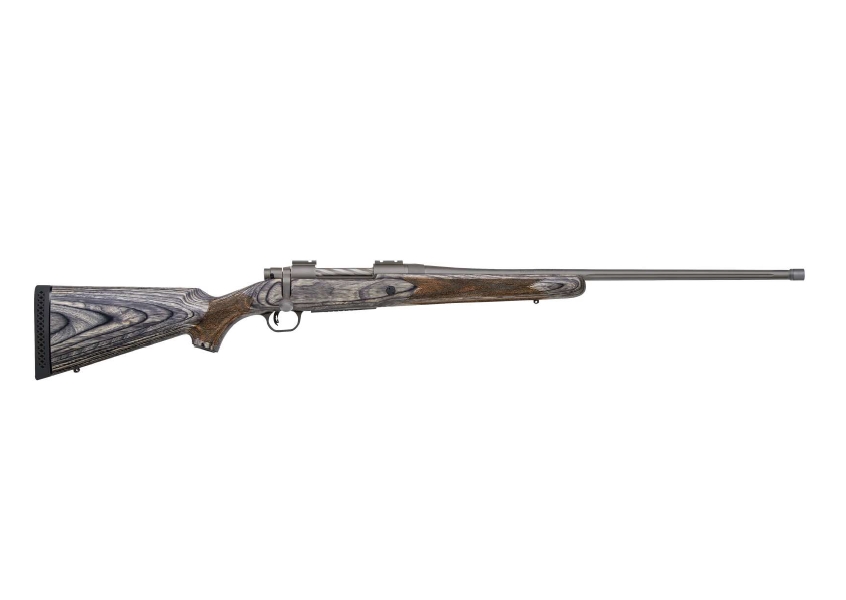 Side view of a modern rifle