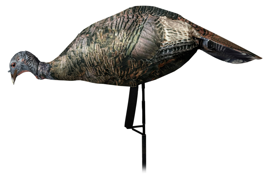 Realistic turkey decoy mounted on stake