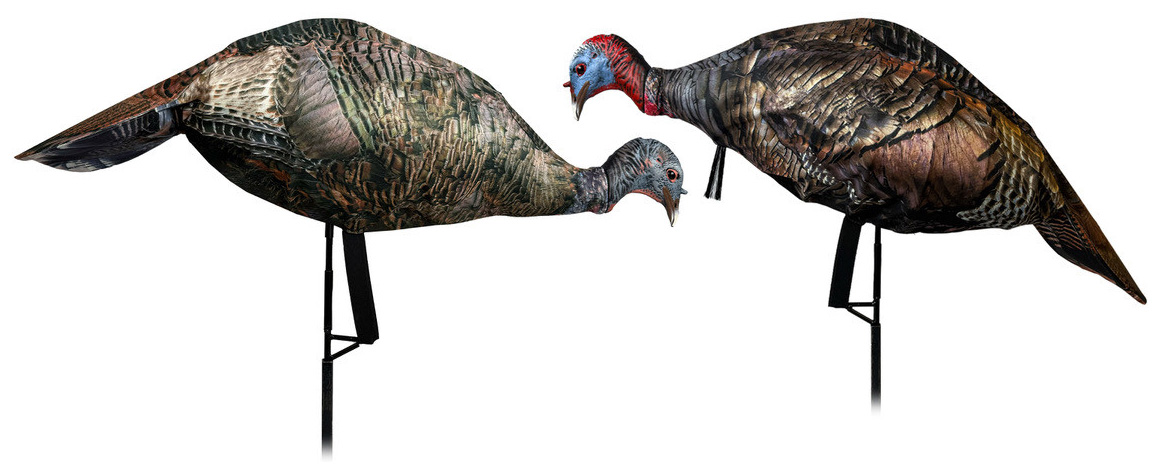 Two turkey decoys mounted on stakes