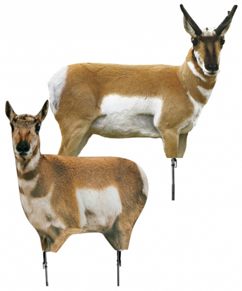 Two pronghorn antelope archery targets on stands
