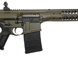 Military-style rifle with adjustable stock and magazine.