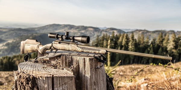 Rifle resting on a tree stump in nature