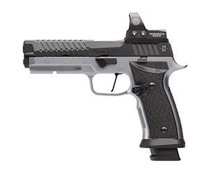 Black and silver semi-automatic pistol with red dot sight