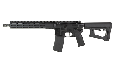 Black modern rifle with adjustable stock