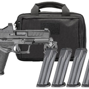 Handgun with magazines and carrying case