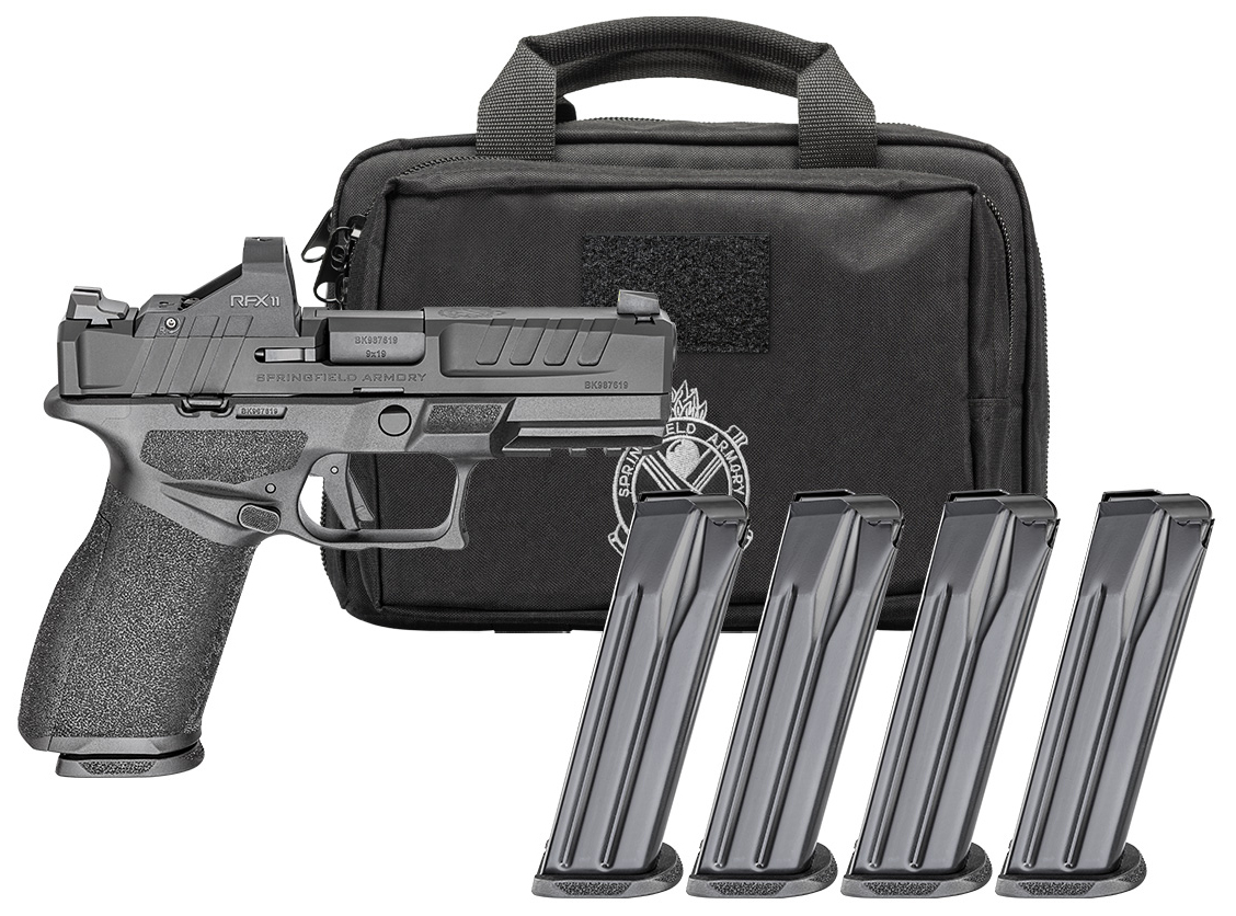 Handgun with magazines and carrying case