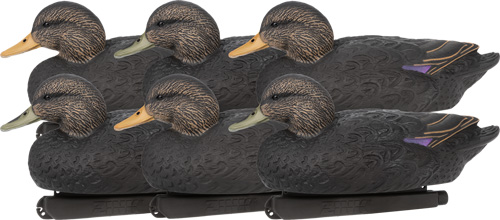 Six duck decoys mounted on black bases