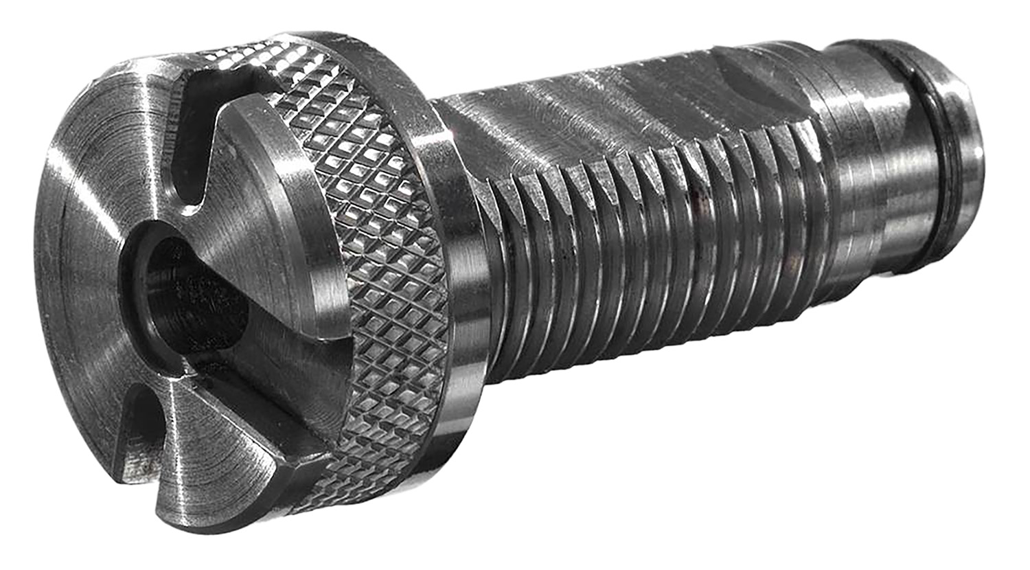 Close-up of stainless steel slotted bolt