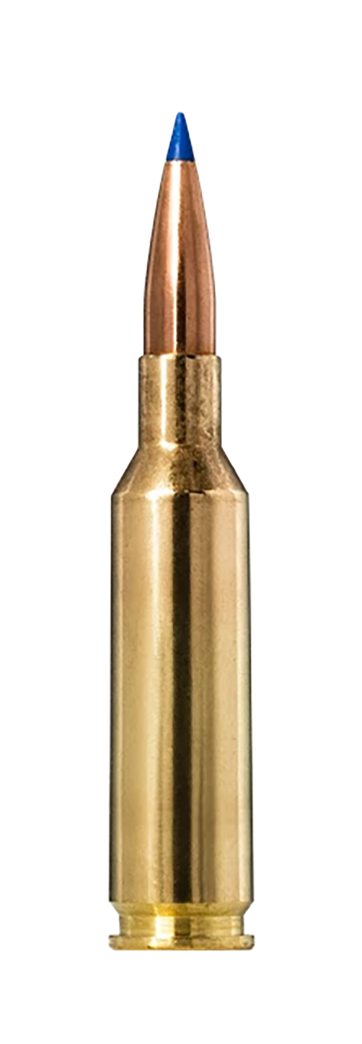 Rifle cartridge with blue-tipped bullet
