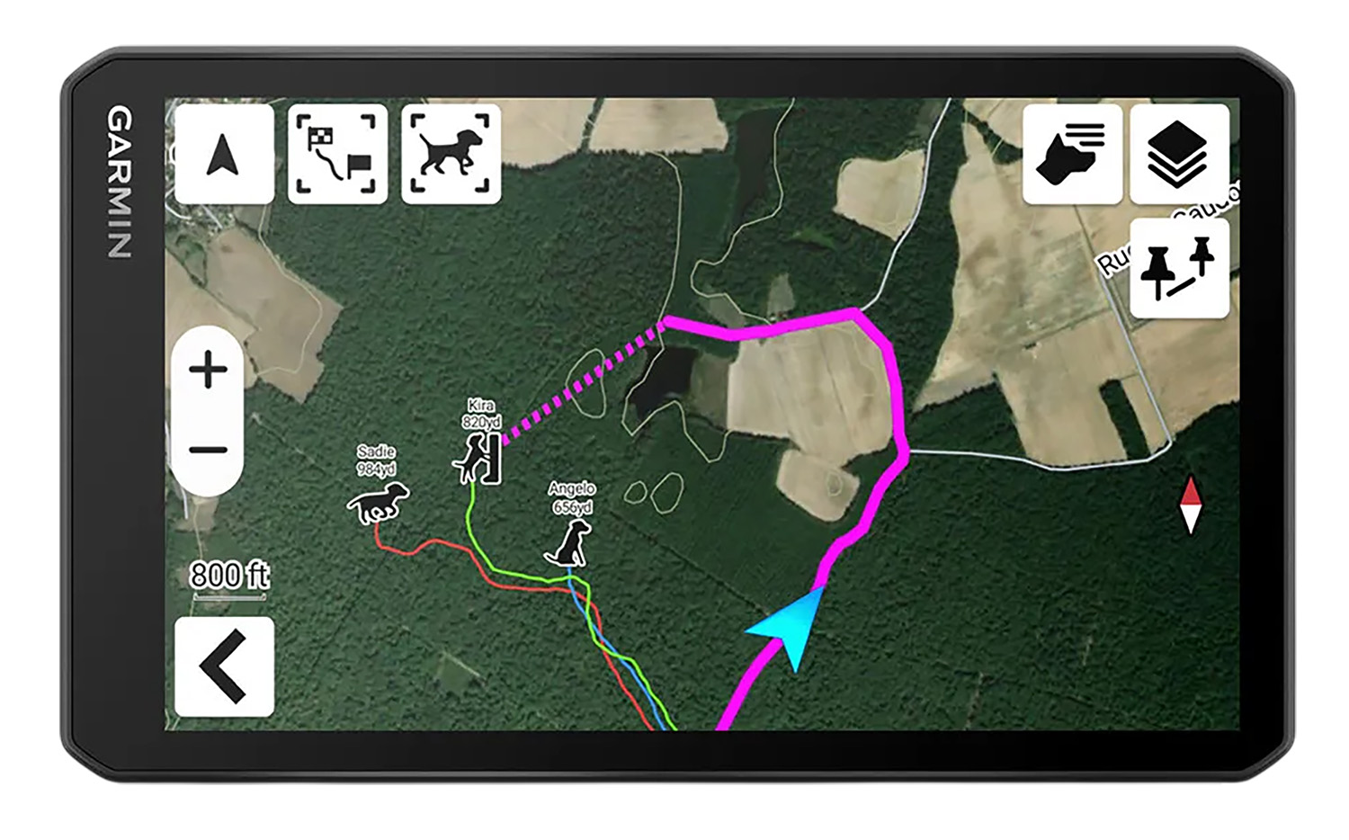 Garmin GPS screen showing dog tracking map