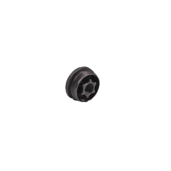 Black threaded metal plug with star socket