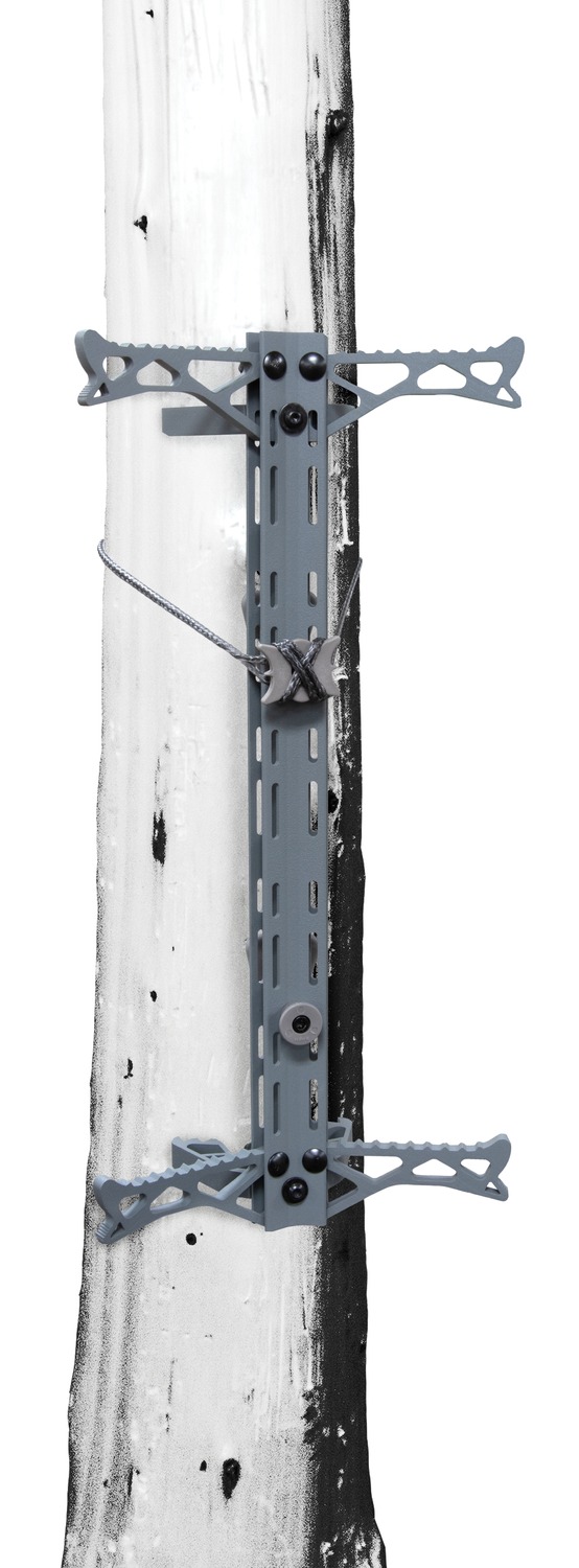 Metal mounting bracket strapped to tree trunk