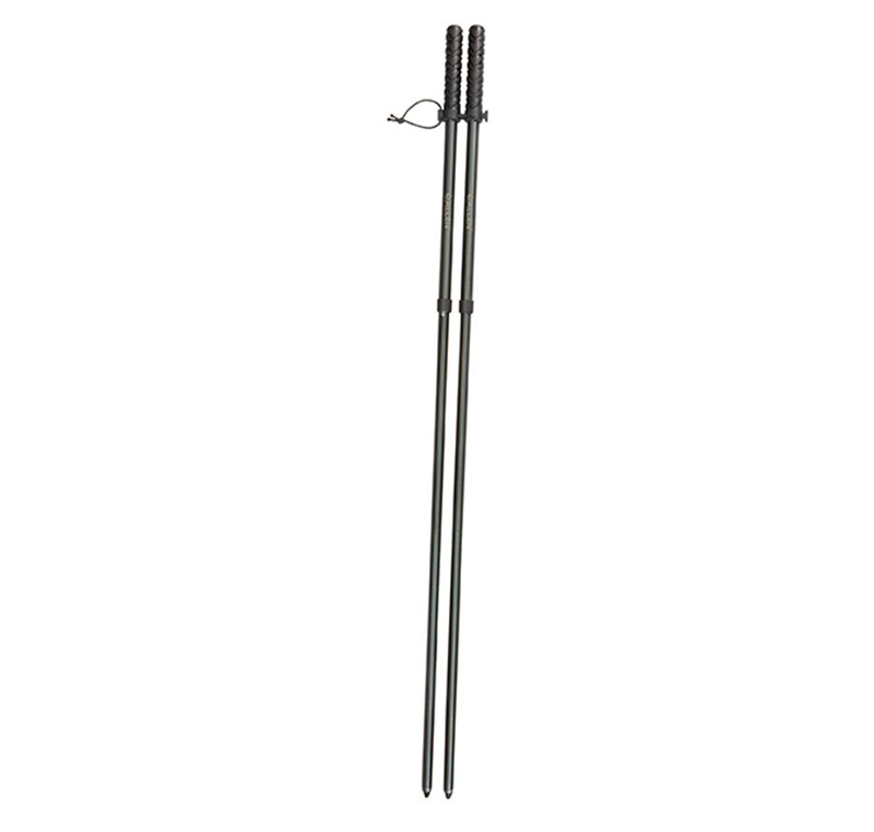 Pair of black telescopic trekking poles