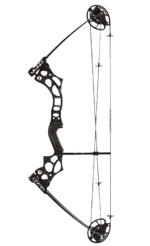 Black compound bow with cams and string