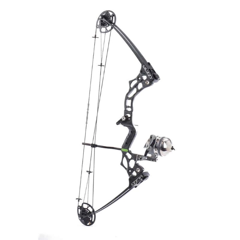 Compound bow with mounted fishing reel