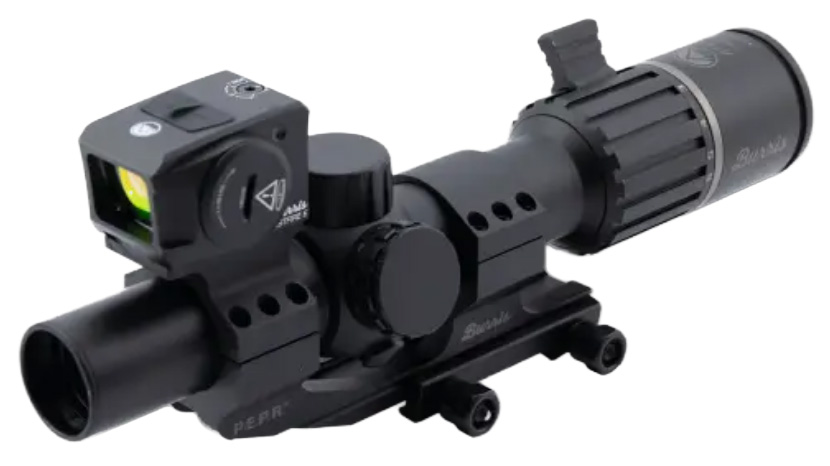 Rifle scope with mounted red dot sight