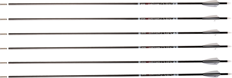Carbon arrows with fletching on white background
