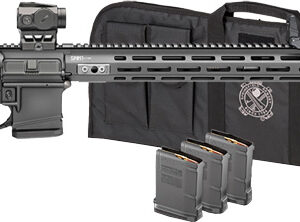 Modern AR-style rifle with magazines and carrying case