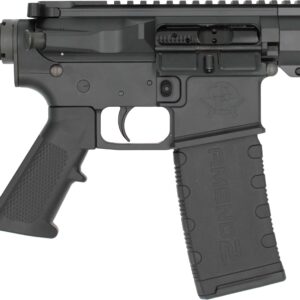 Black semi-automatic rifle isolated on white background