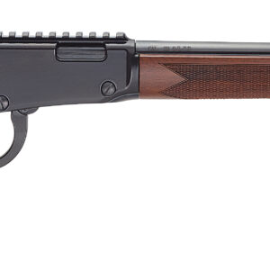 Lever-action rifle with wooden stock